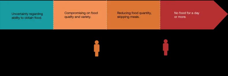Food insecurity scale